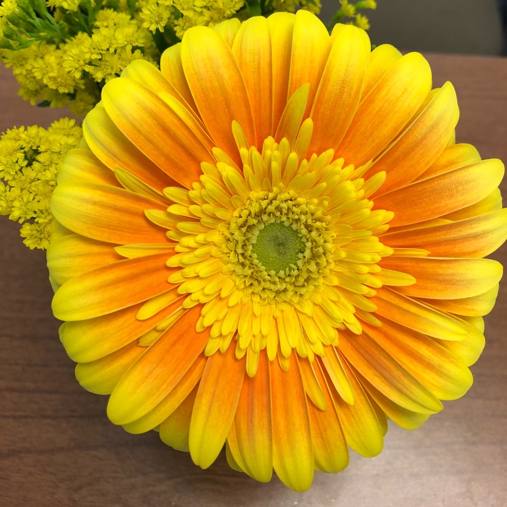 Meet your Posher, April